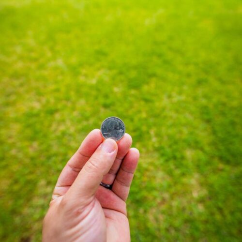 Close-up of a hand holding a coin with a bright green grass background.